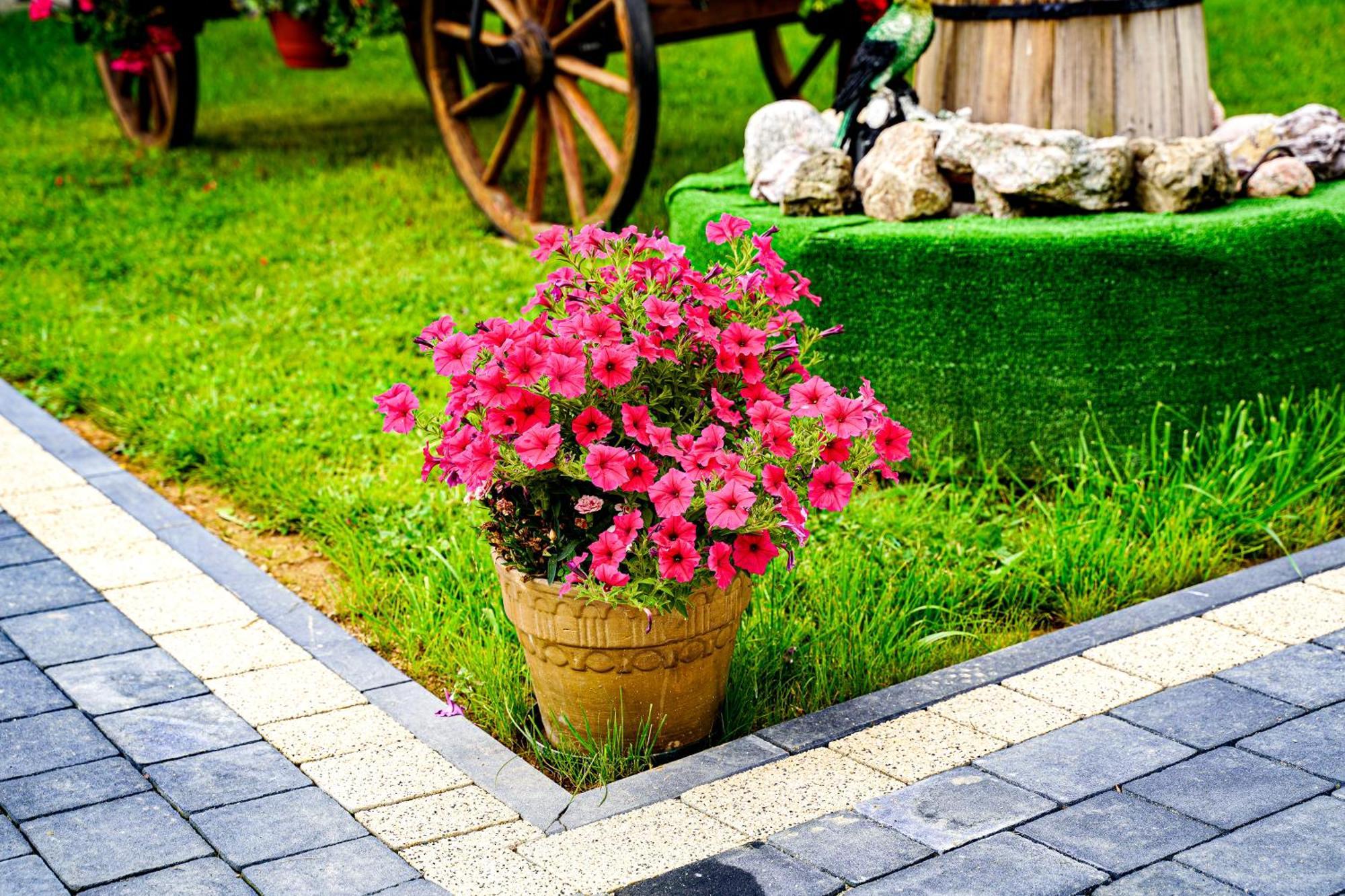 Gosciniec Kukulka Z Jacuzzi Bed & Breakfast Zakopane Bagian luar foto